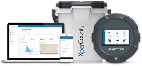 物联互联，智能养殖 网络技术如何重塑现代水产养殖业